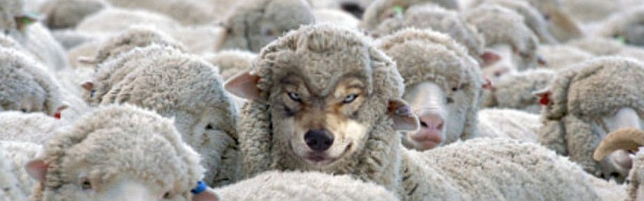 A wolf in sheeps clothing